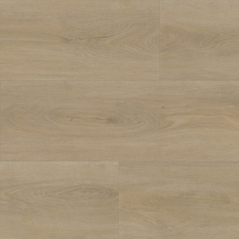 Ambiant Robusto dryback beige