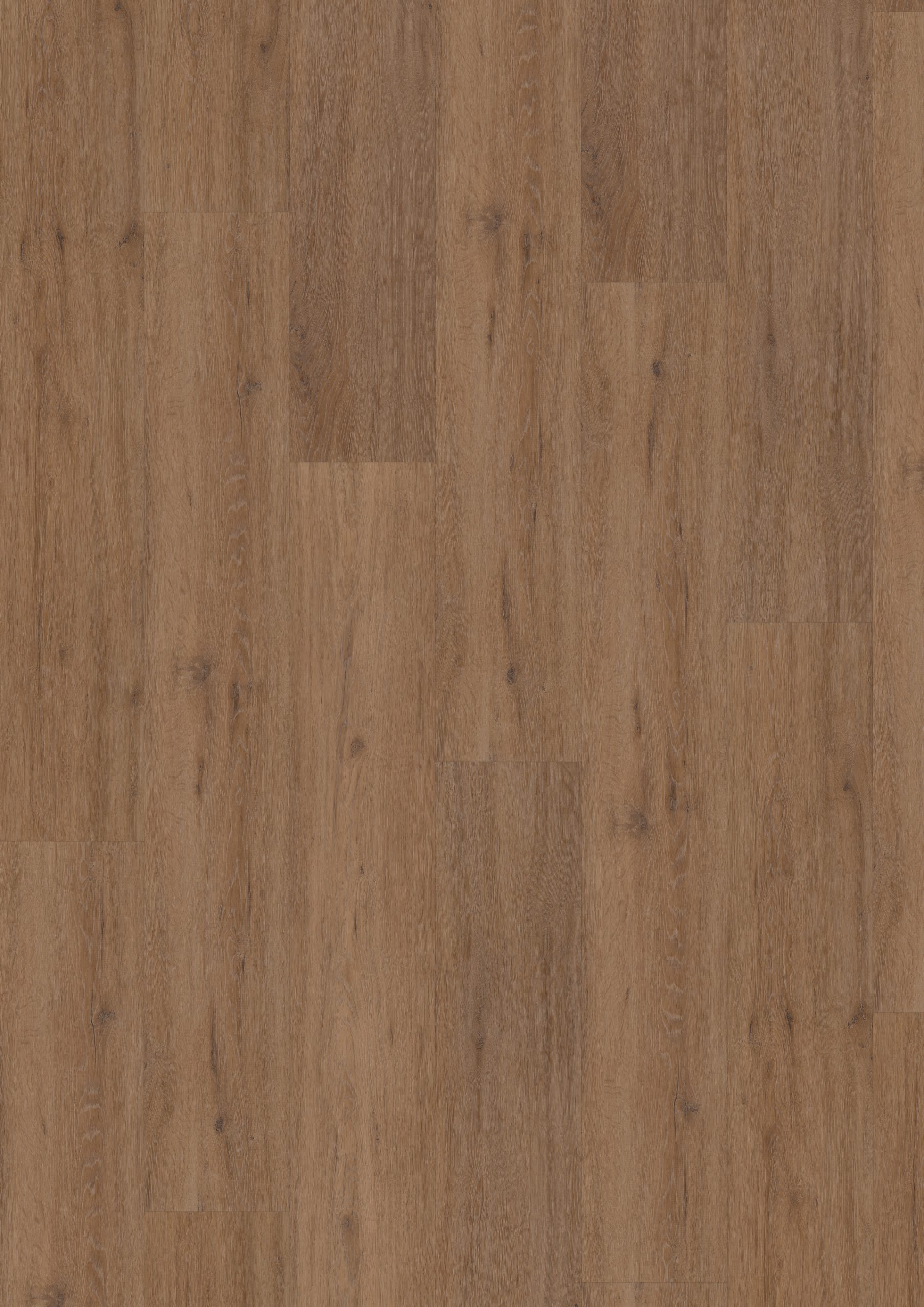 Hoomline Fusion XL Click 1075131 Oak Honey