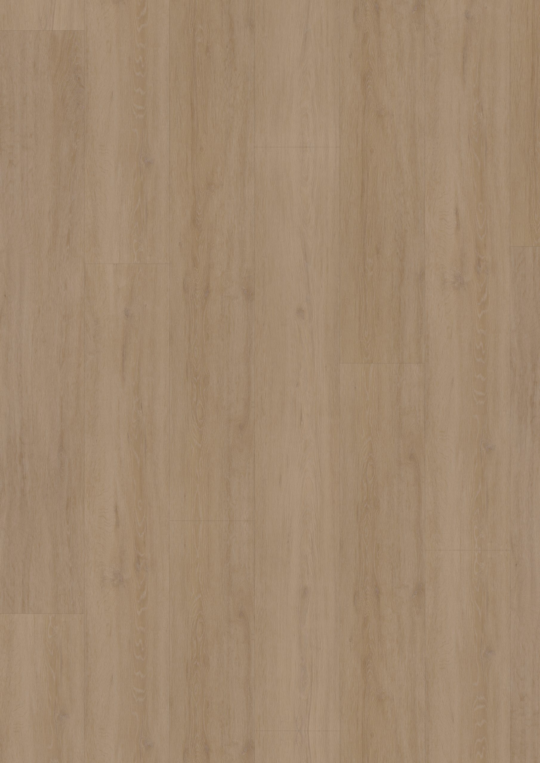 Hoomline Fusion XL Click 1075129 Oak Flax