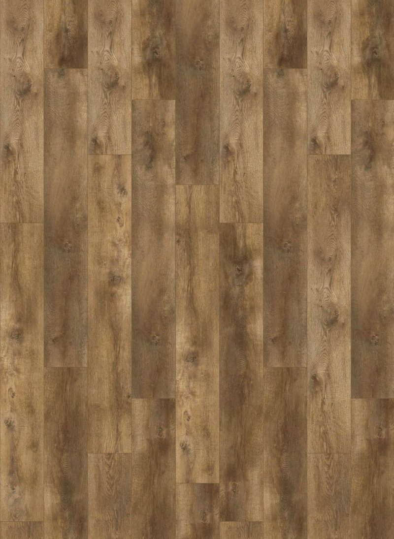 Gelasta Nevada Dryback 6002 Valley Oak Cinnamon