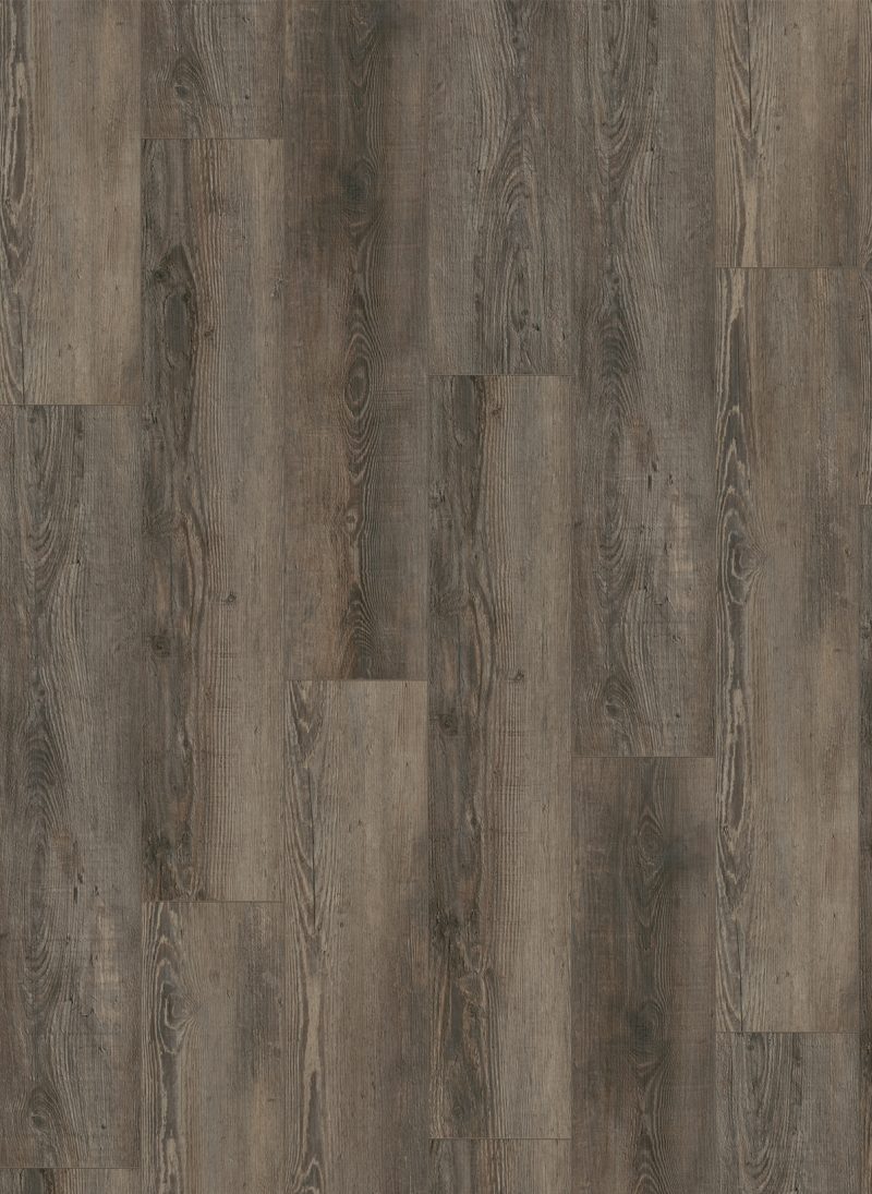 Gelasta City Dryback 4605 Olympia Pine Brown