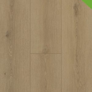 Gelasta Firmfit Dryback 6500 Sierra Light