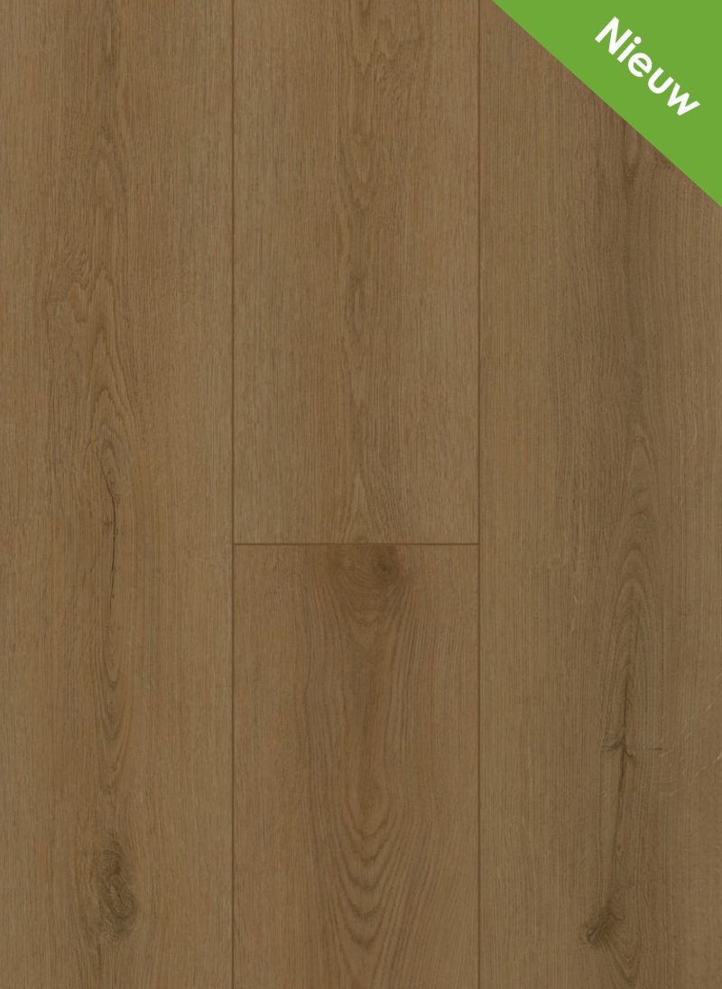 Gelasta Firmfit Dryback 6503 Sierra Brown