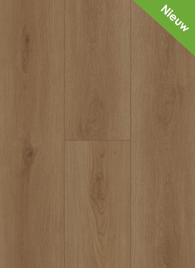 Gelasta Firmfit Dryback 6700 Summerfield Naturel
