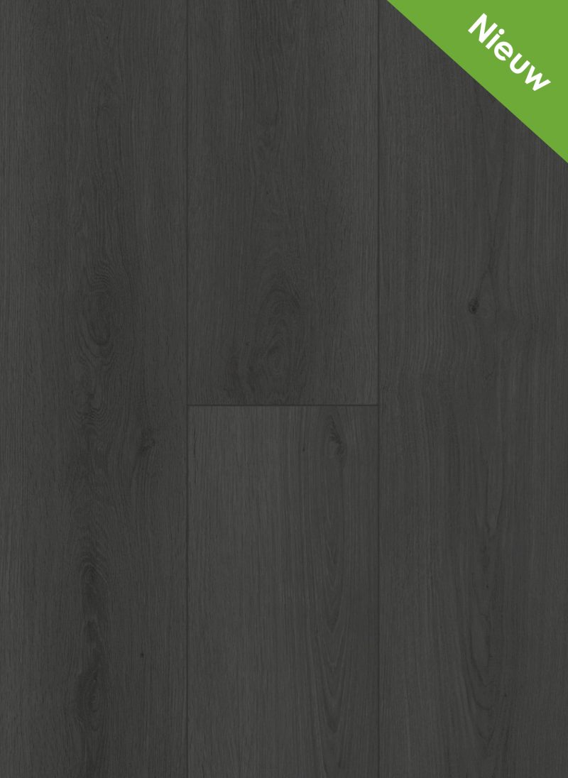 Gelasta Firmfit Dryback 6701 Summerfield Charcoal