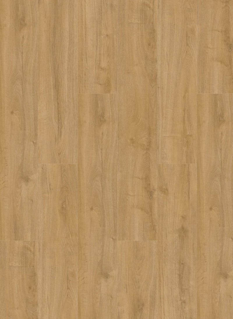 Gelasta Oakland Dryback 6101 Natural