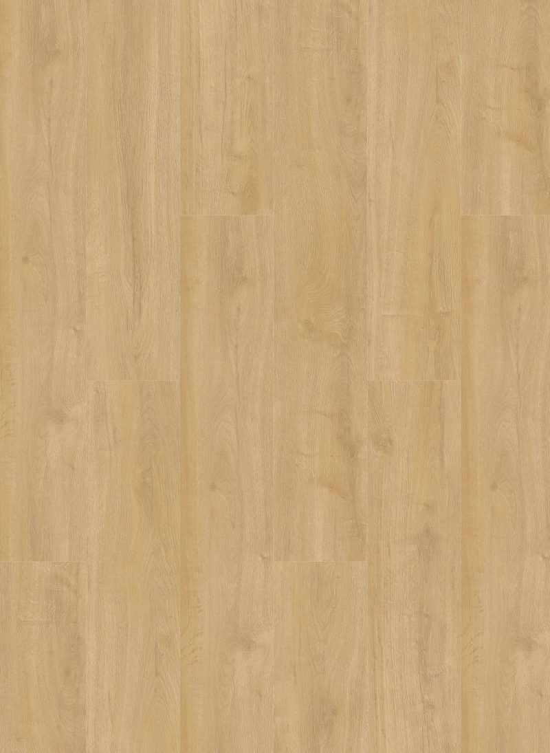 Gelasta Oakland Dryback 6102 Desert
