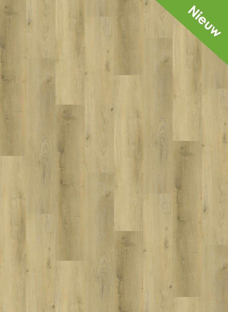 Gelasta Vario Dryback 4904 Prestige Oak Light