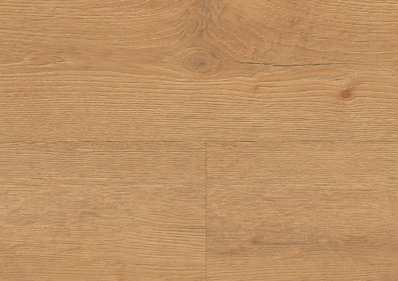 Floer Bossen PVC - Noordlaarderbos Natuur Eiken - Afbeelding 7