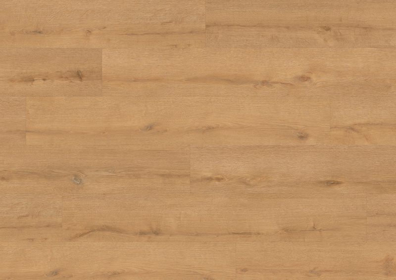Floer Bossen PVC - Noordlaarderbos Natuur Eiken