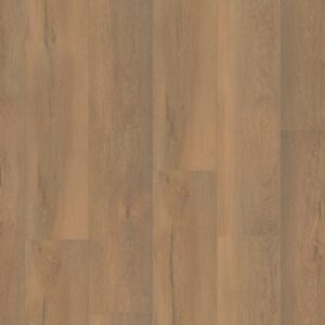 Ambiant Saarland natuur eiken