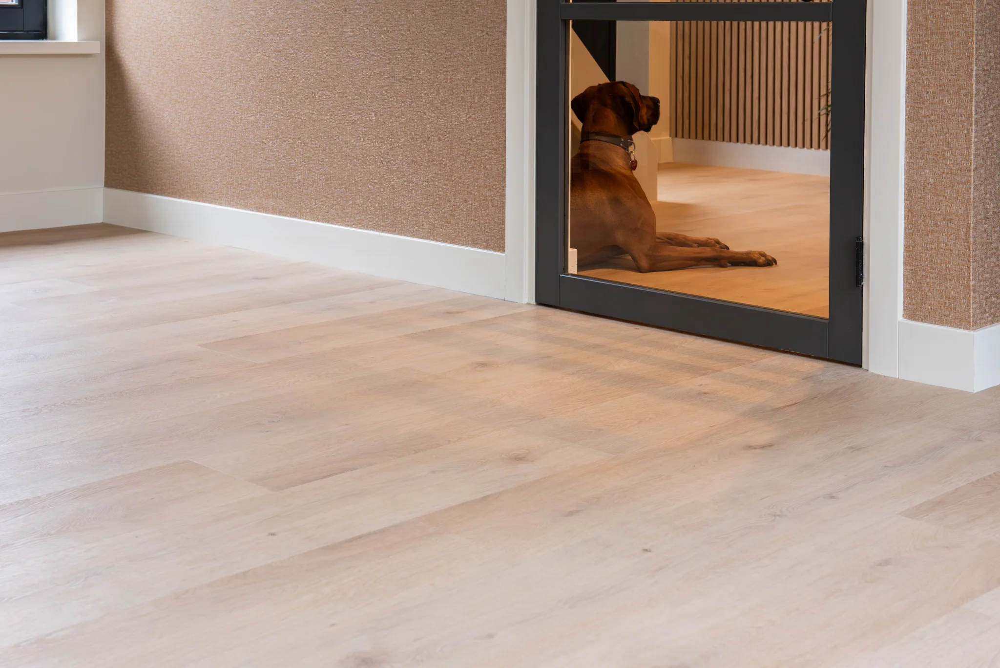 Belakos Attico 870 | Rigid Click - Afbeelding 2