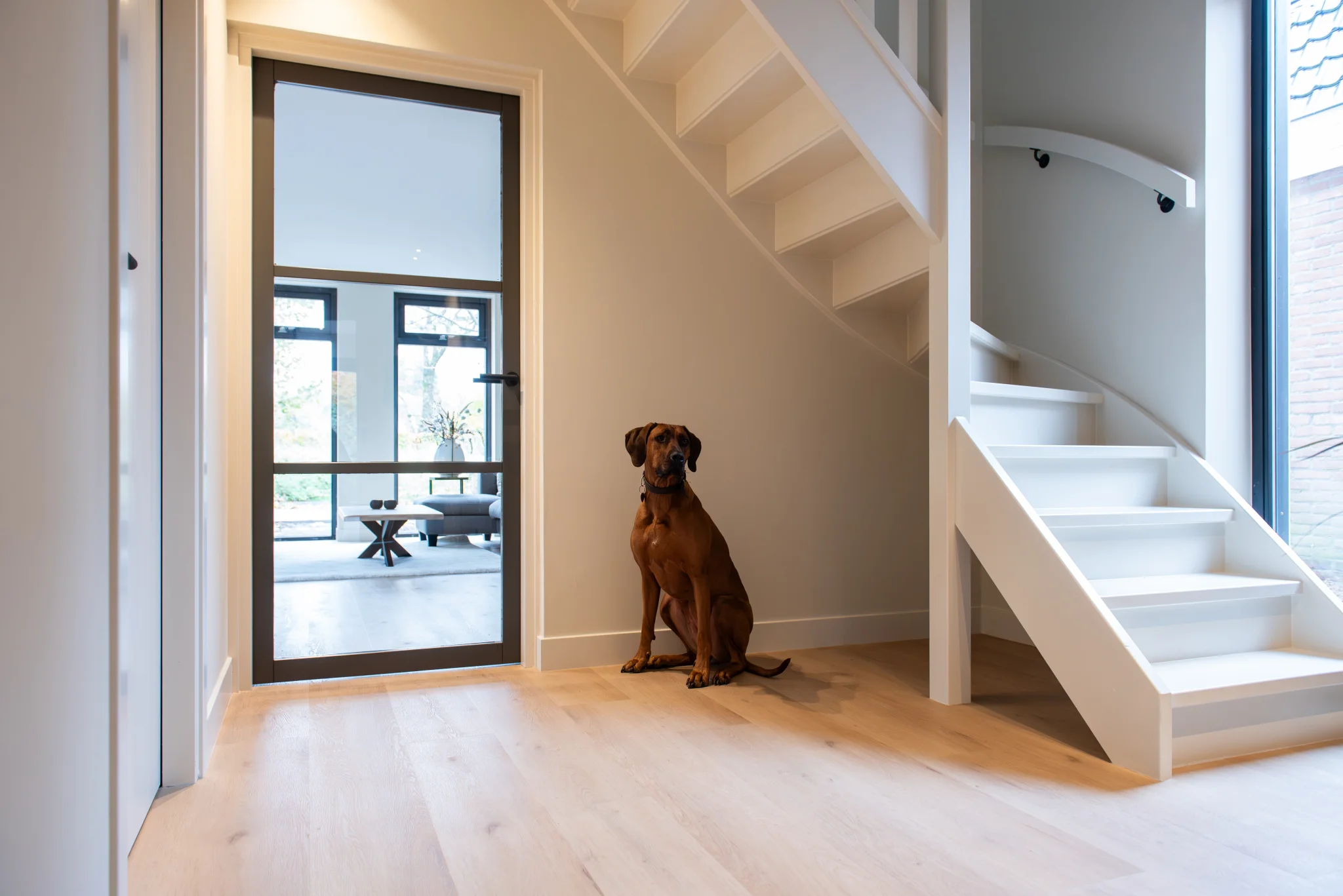 Belakos Attico 870 | Rigid Click - Afbeelding 3