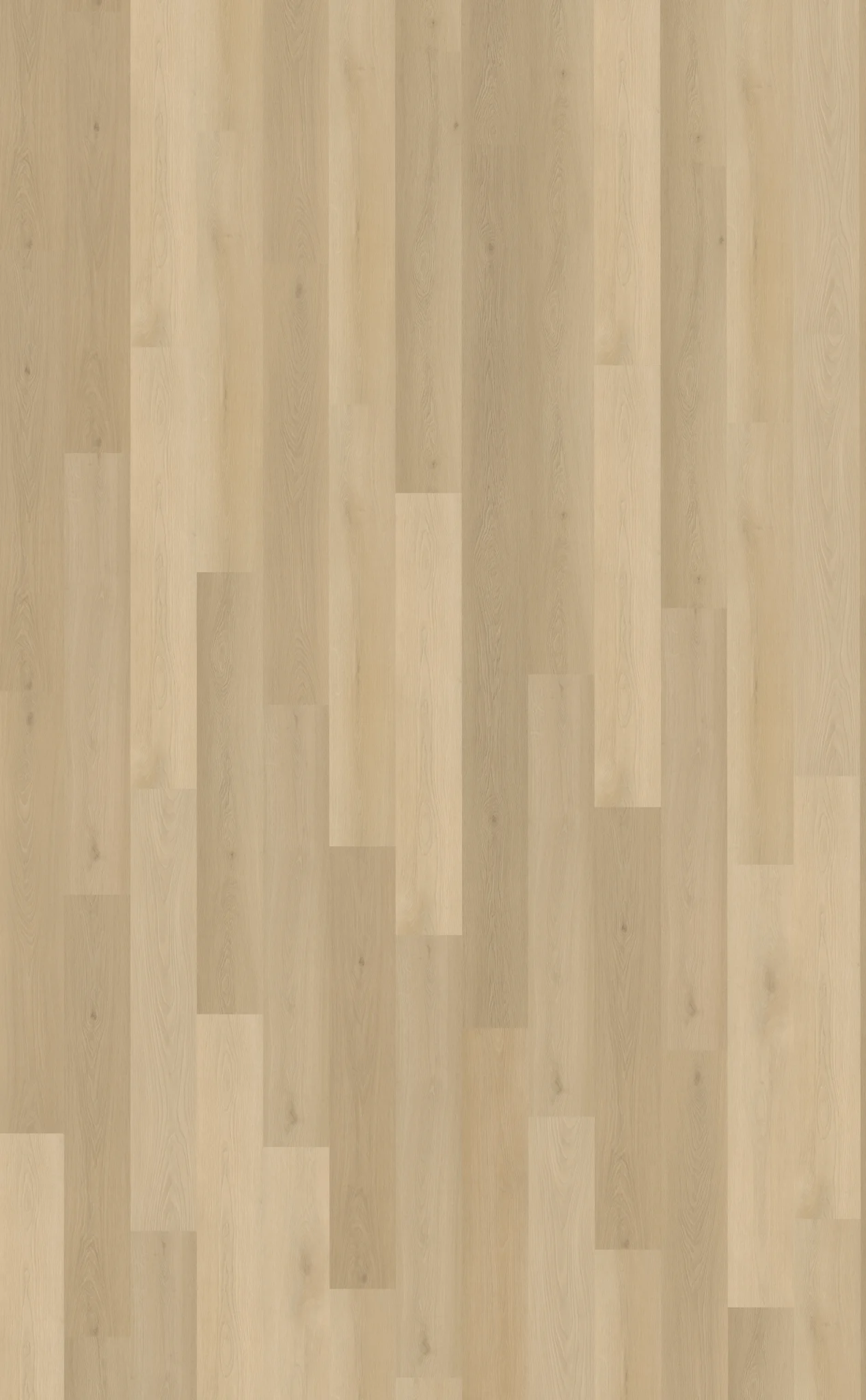 Belakos Borgo 310 | Rigid Click