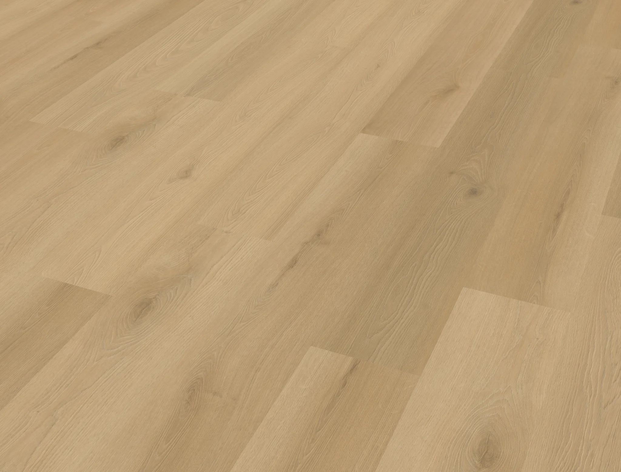 Belakos Borgo 300 | Rigid Click - Afbeelding 3