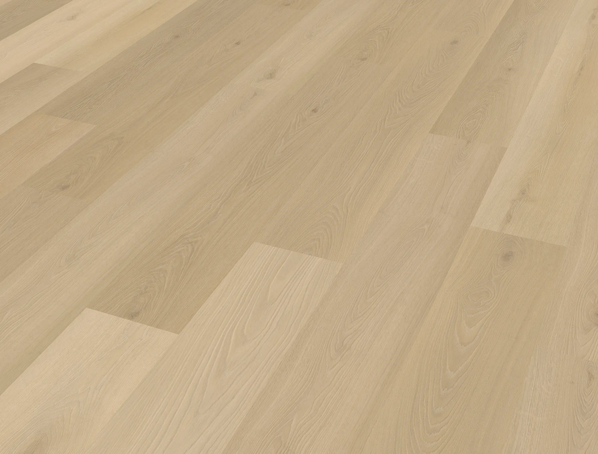 Belakos Borgo 310 | Rigid Click - Afbeelding 3