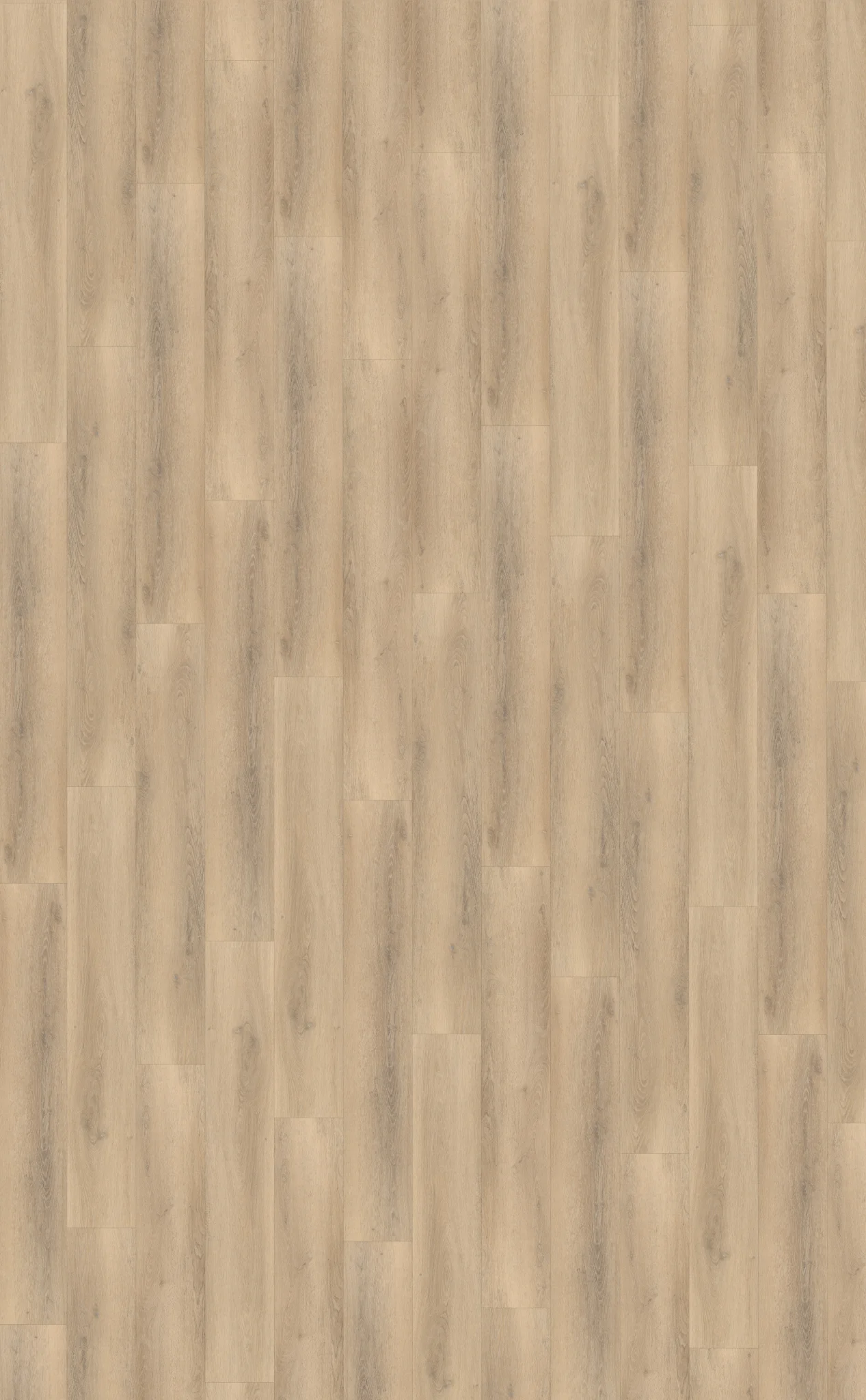 Belakos Palazzo 750 Rigid Click