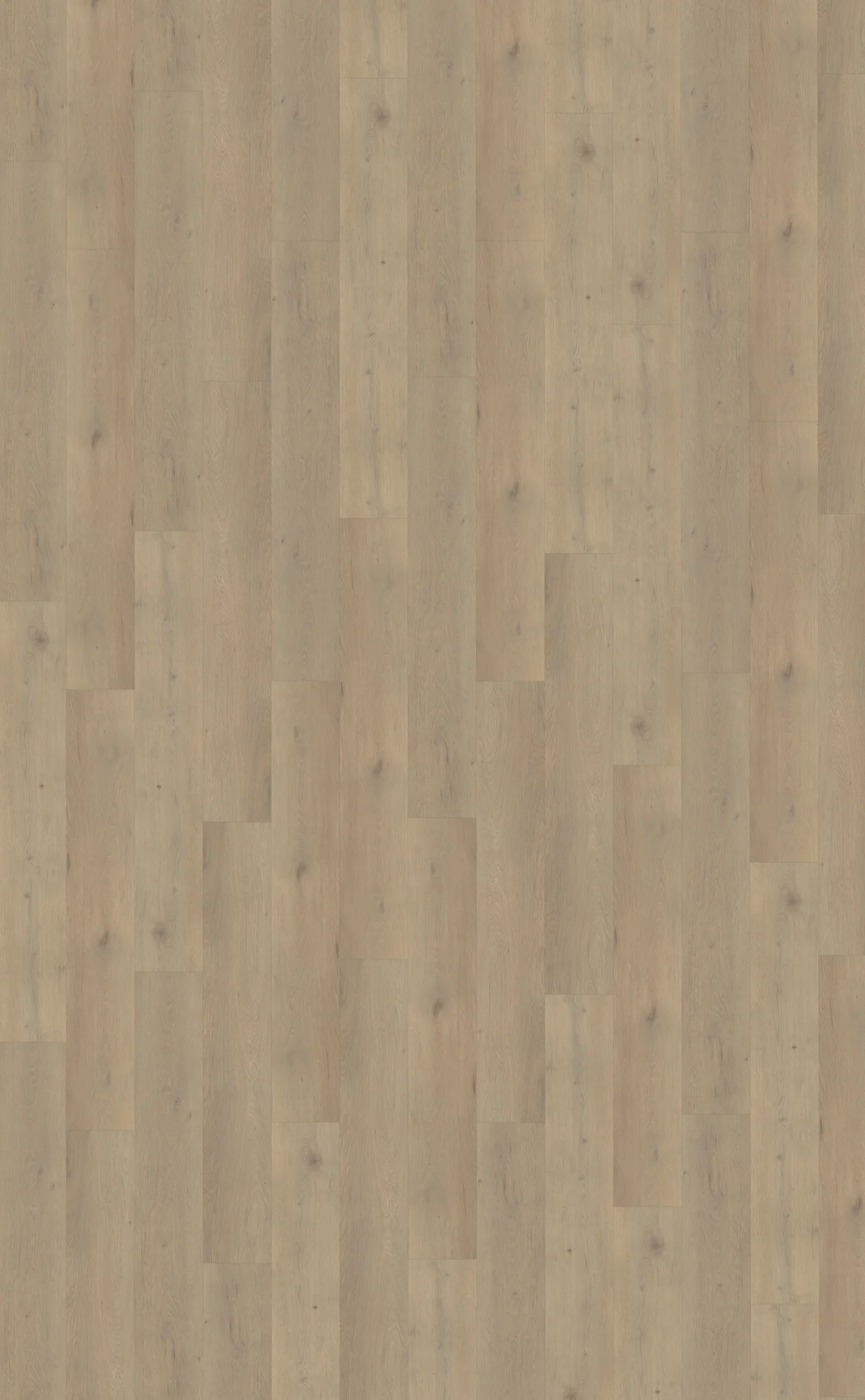Belakos Attico 860 | Rigid Click - Afbeelding 2