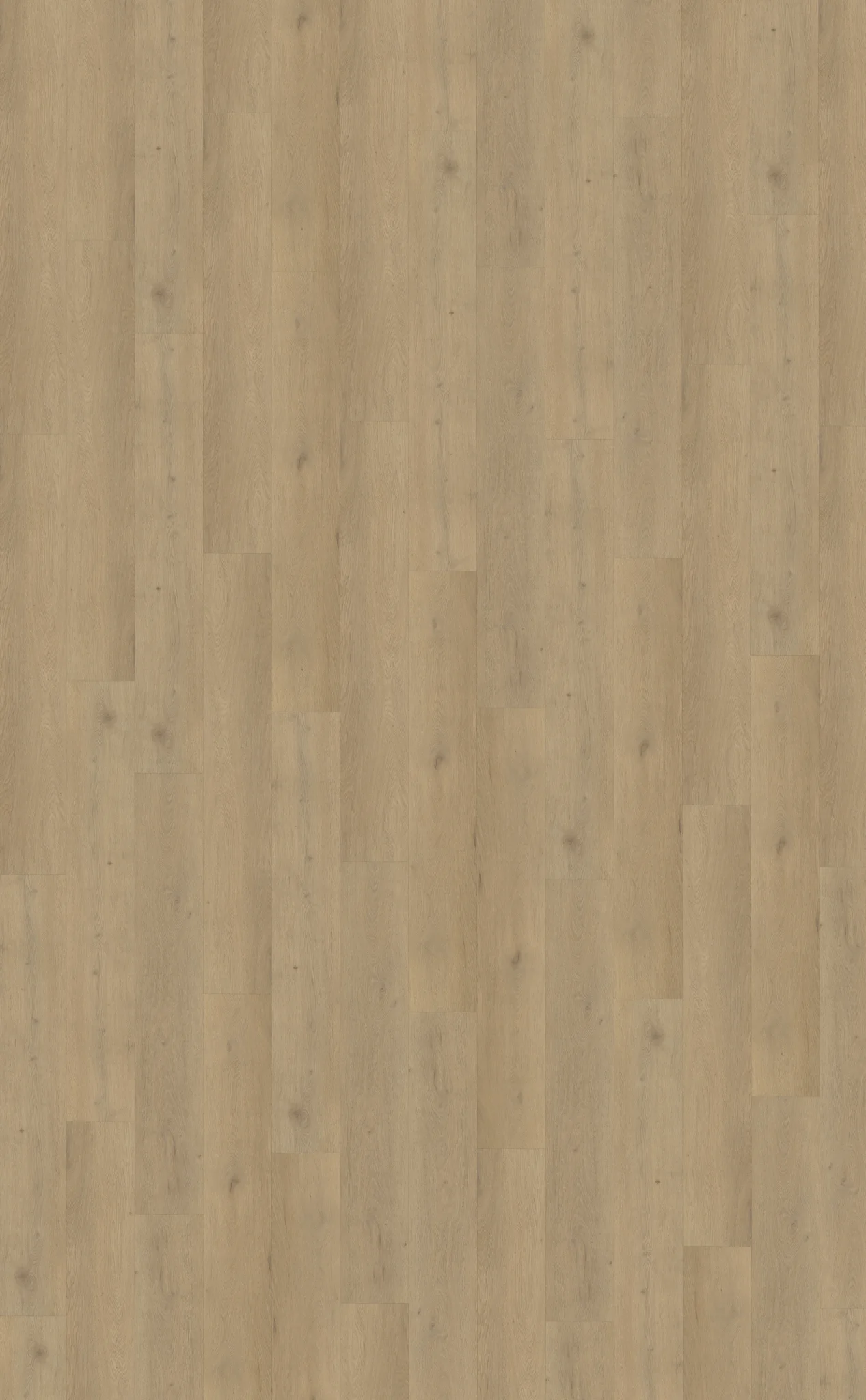 Belakos Attico 870 | Rigid Click